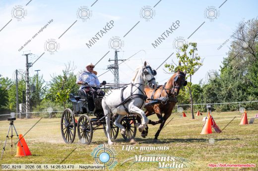 Mintakép 20260815-66