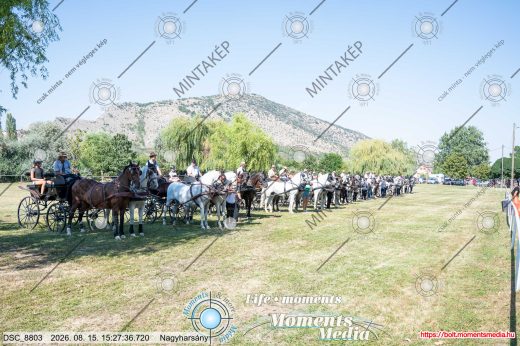 Mintakép 20260815-75