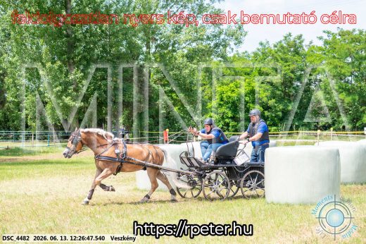 Mintakép 20260613-1488