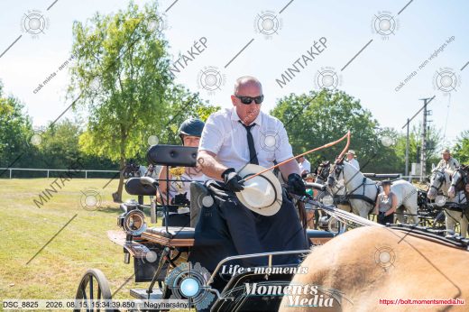 Mintakép 20260815-93