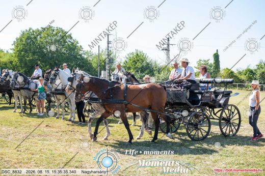 Mintakép 20260815-98