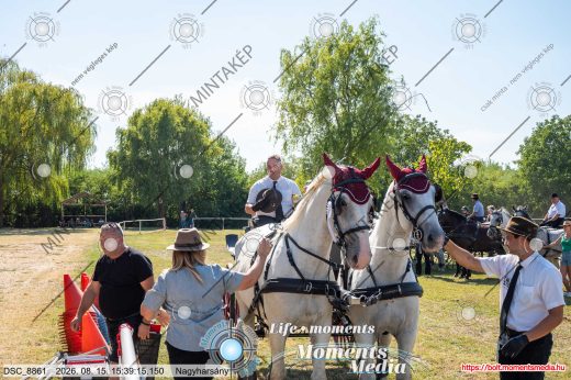 Mintakép 20260815-123