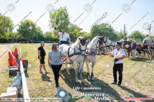Mintakép 20260815-143