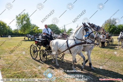 Mintakép 20260815-148
