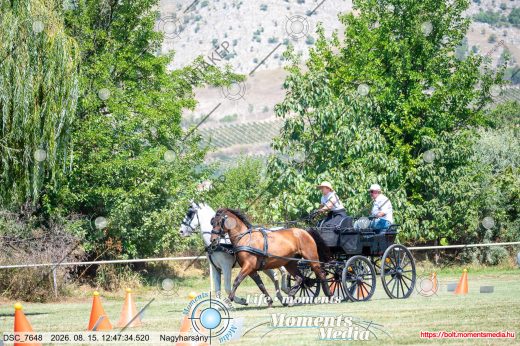 Mintakép 20260815-174