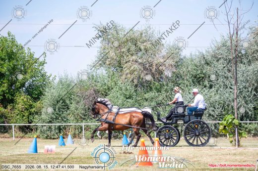 Mintakép 20260815-179