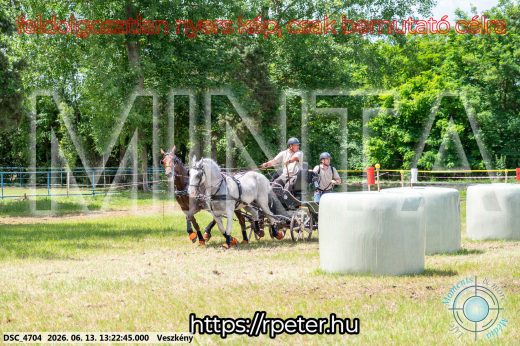 Mintakép 20260613-115