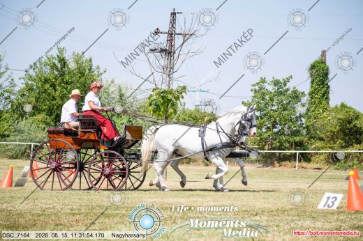 Mintakép 20260815-195
