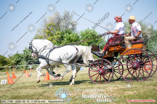 Mintakép 20260815-212