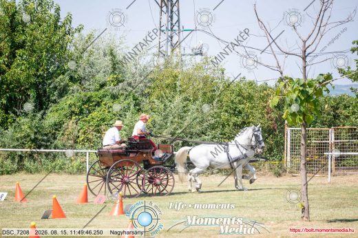 Mintakép 20260815-217