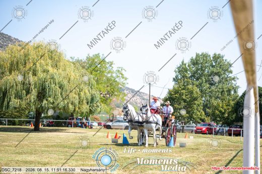 Mintakép 20260815-224