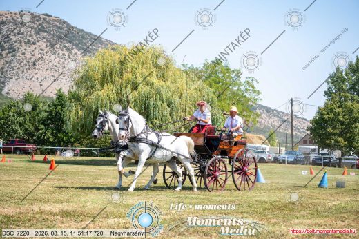 Mintakép 20260815-226