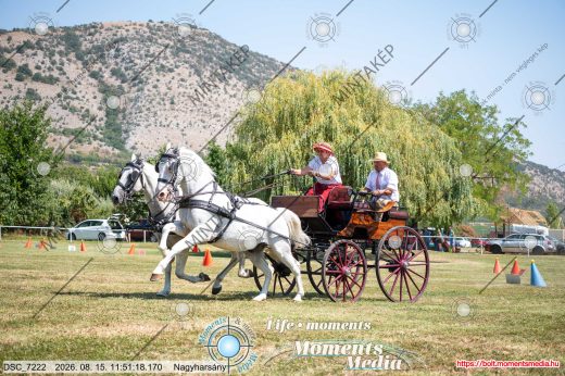 Mintakép 20260815-228