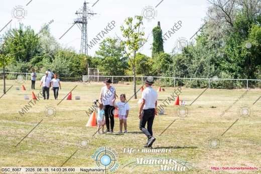Mintakép 20260815-245