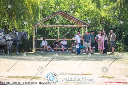 Mintakép 20260815-262