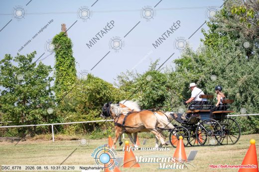 Mintakép 20260815-279