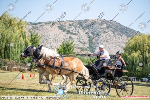 Mintakép 20260815-287