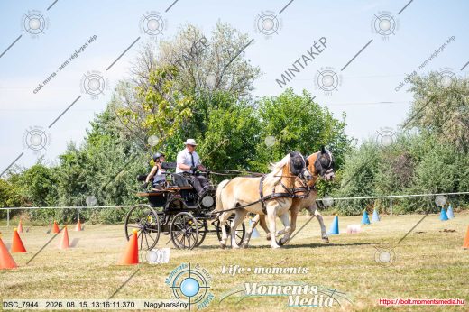 Mintakép 20260815-289