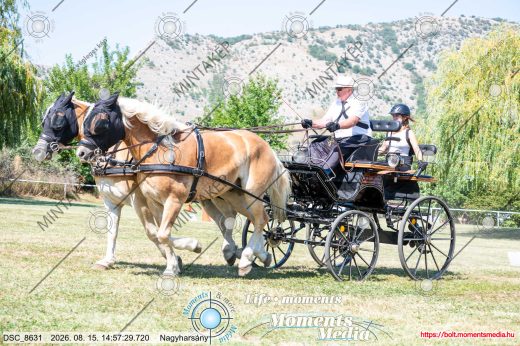 Mintakép 20260815-312