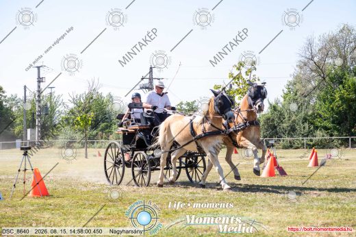 Mintakép 20260815-316