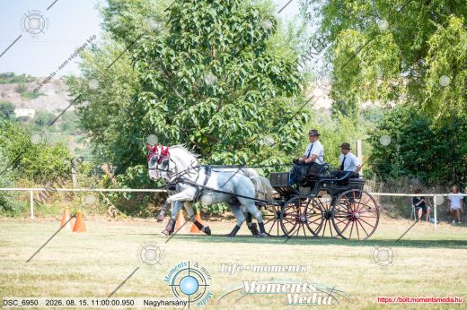Mintakép 20260815-327