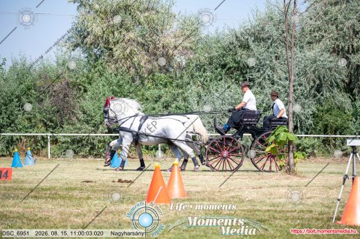 Mintakép 20260815-328
