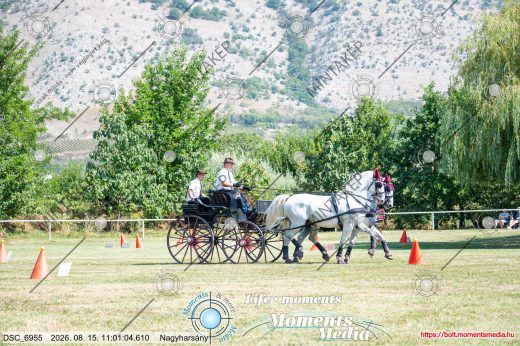 Mintakép 20260815-331