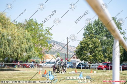 Mintakép 20260815-358