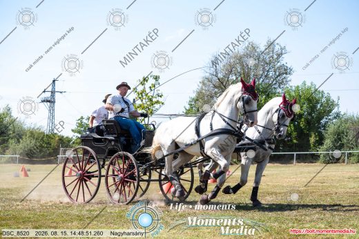 Mintakép 20260815-380