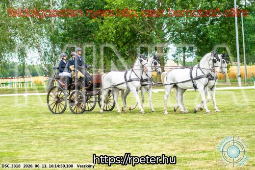 20260611-161450-DSC_3318.jpg