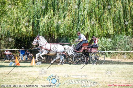 Mintakép 20260815-406