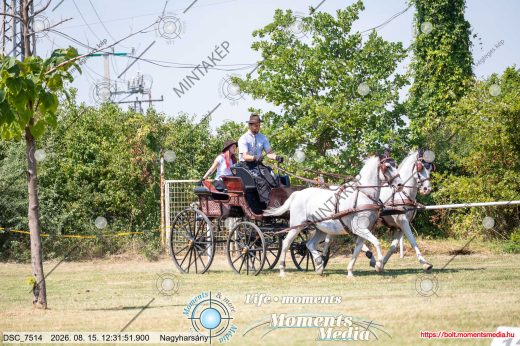 Mintakép 20260815-410