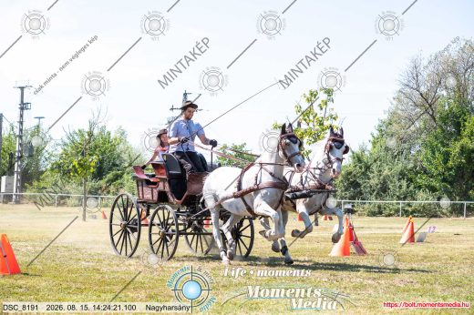 Mintakép 20260815-433