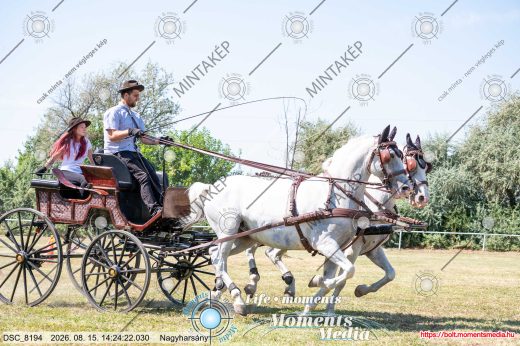 Mintakép 20260815-435