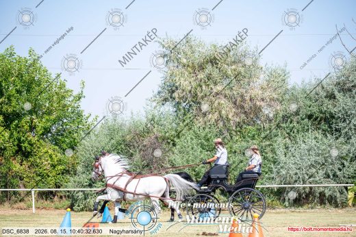 Mintakép 20260815-445