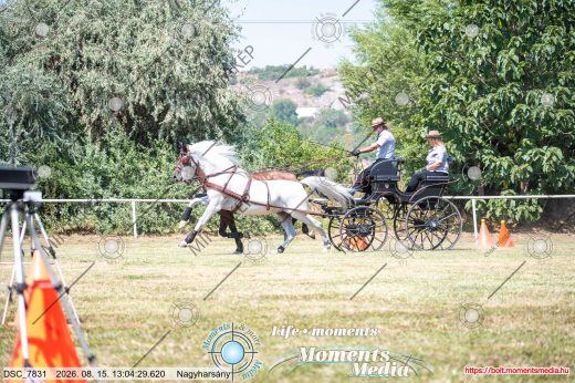 Mintakép 20260815-465
