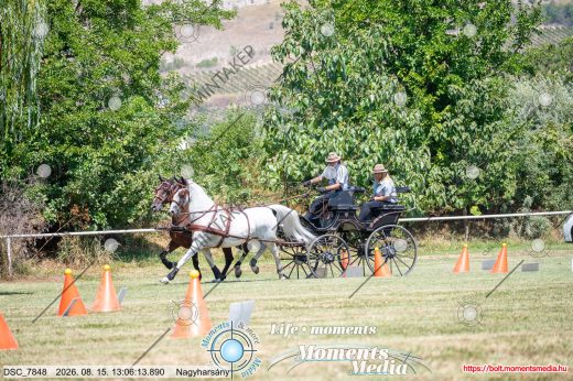Mintakép 20260815-473