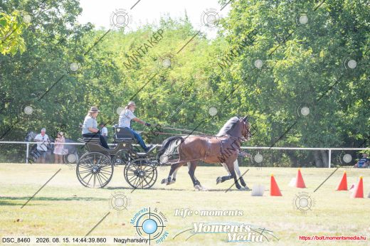 Mintakép 20260815-488