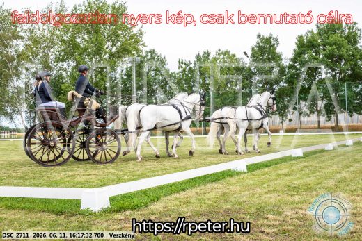 Mintakép 20260611-47