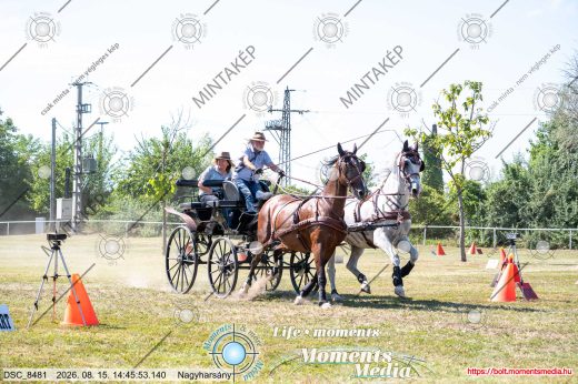 Mintakép 20260815-505