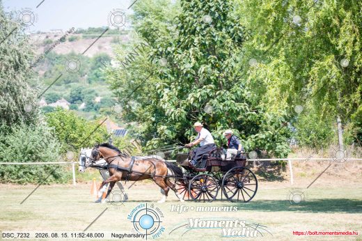 Mintakép 20260815-520