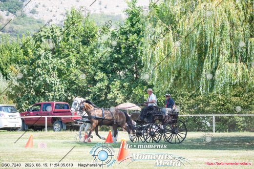 Mintakép 20260815-525