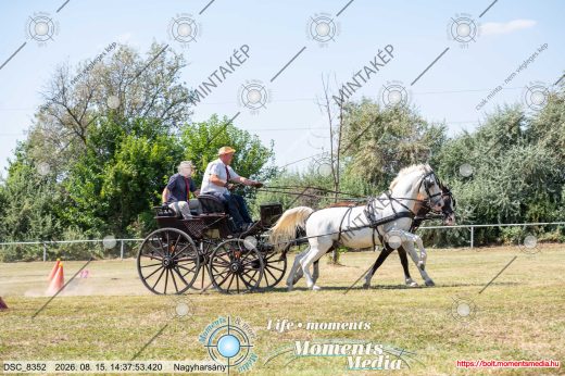 Mintakép 20260815-533