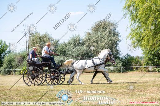 Mintakép 20260815-534