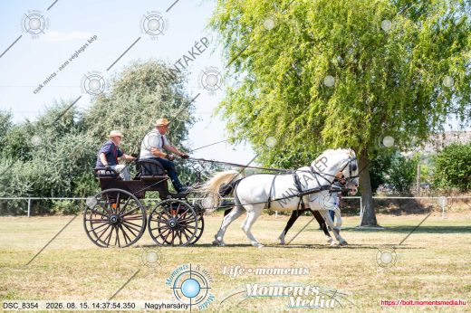 Mintakép 20260815-535