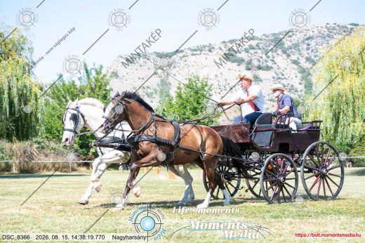 Mintakép 20260815-542