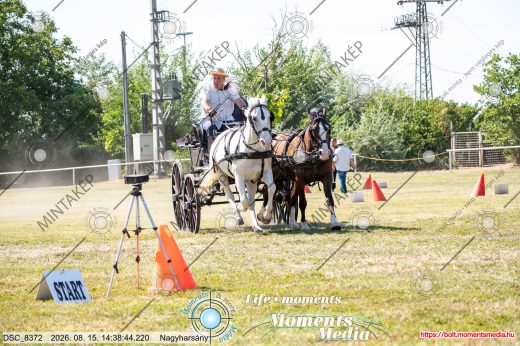 Mintakép 20260815-546