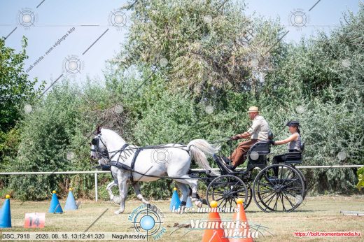 Mintakép 20260815-571