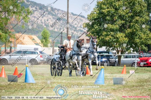 Mintakép 20260815-575