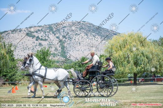 Mintakép 20260815-584